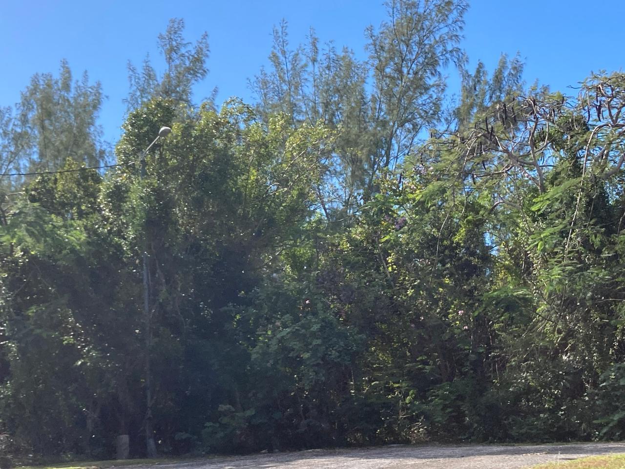 7 WINDERMERE DRIVE — photo 3