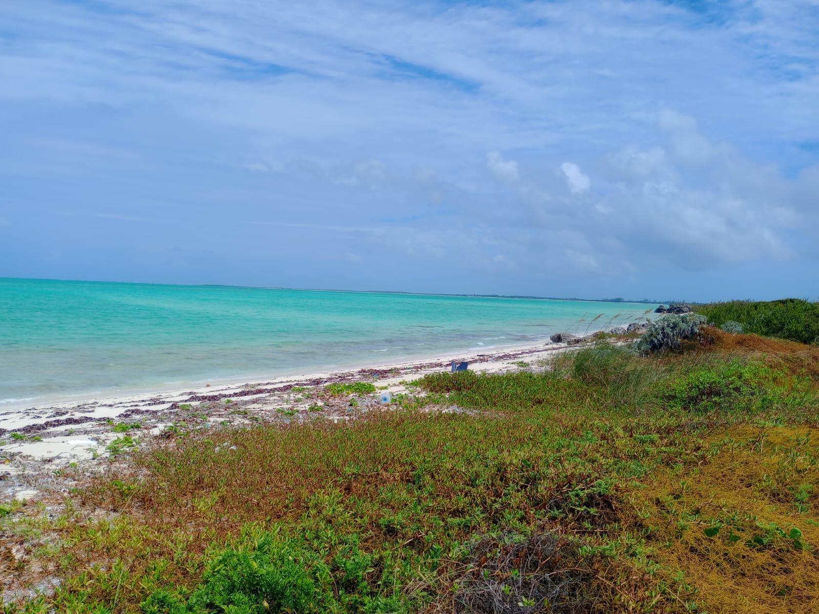 BEACHFRONT MAYAGUANA — photo 4
