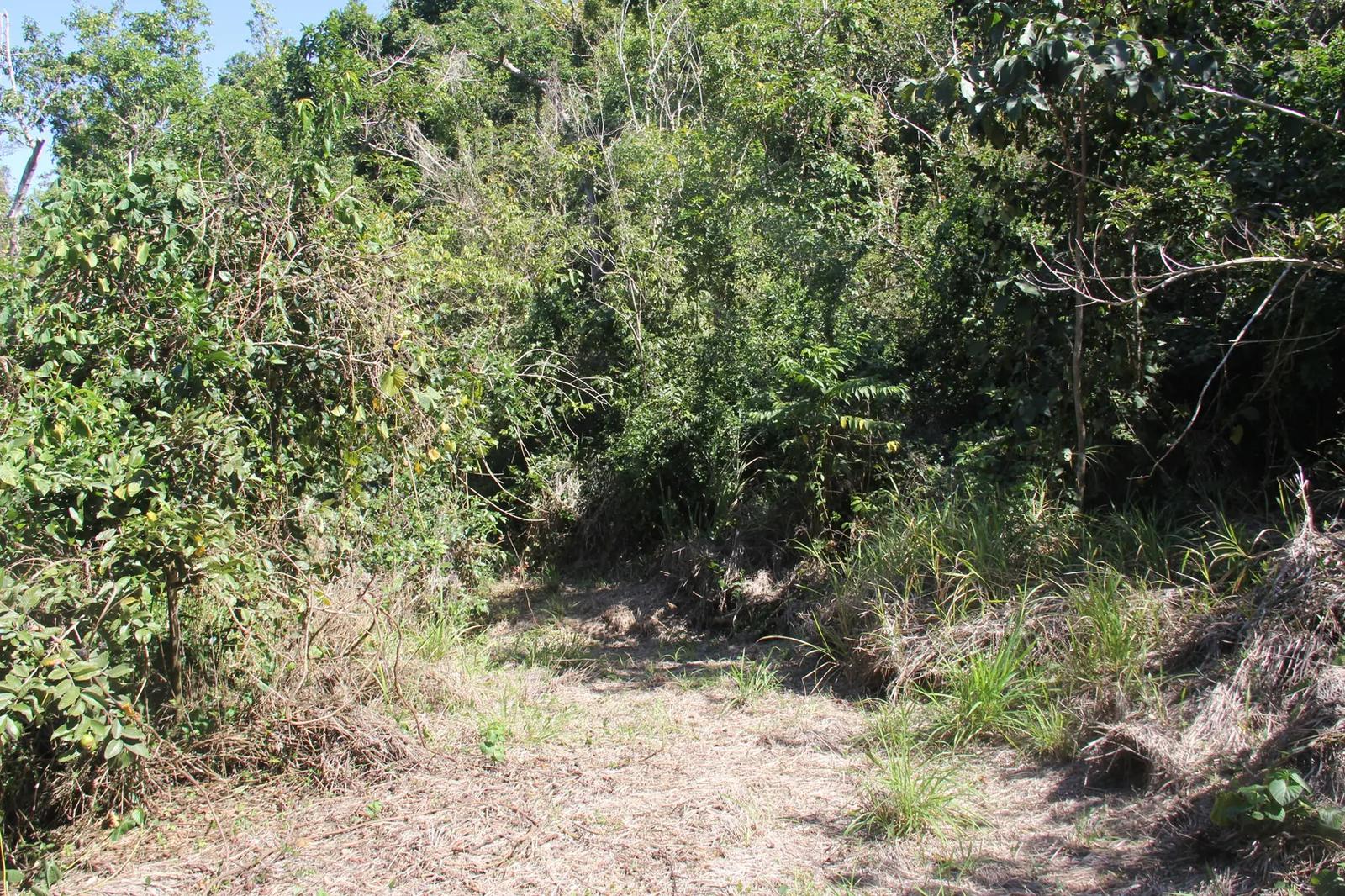2.18 Acre Homesite Lot on Northside — photo 4