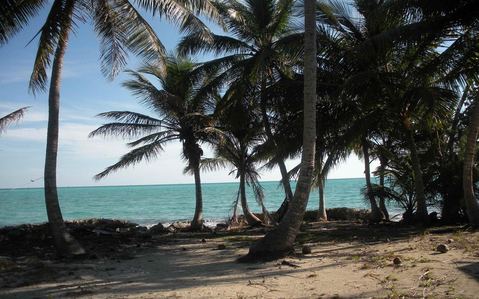 7 bedroom Apartment for sale — OCEANFRONT, DEEP CREEK in Andros, The Bahamas — photo 5