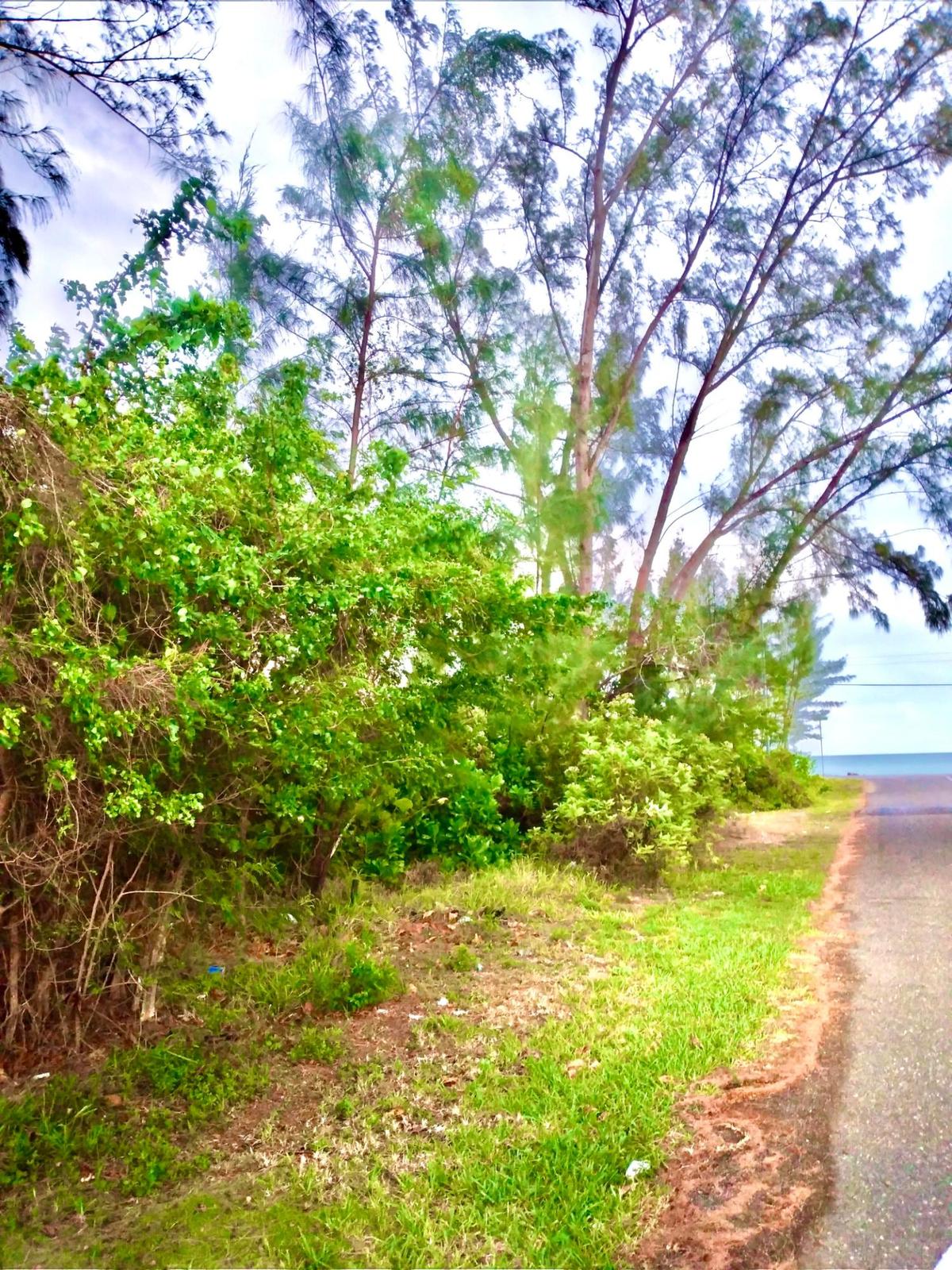 ANDROS 200 ACRES — photo 3