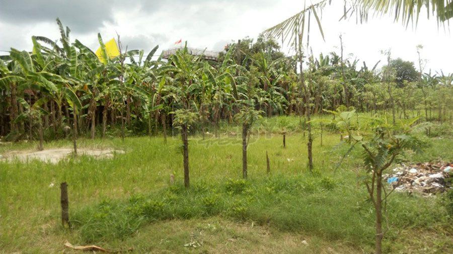 Freehold Land in Kedonganan, Jimbaran, Bali — photo 4