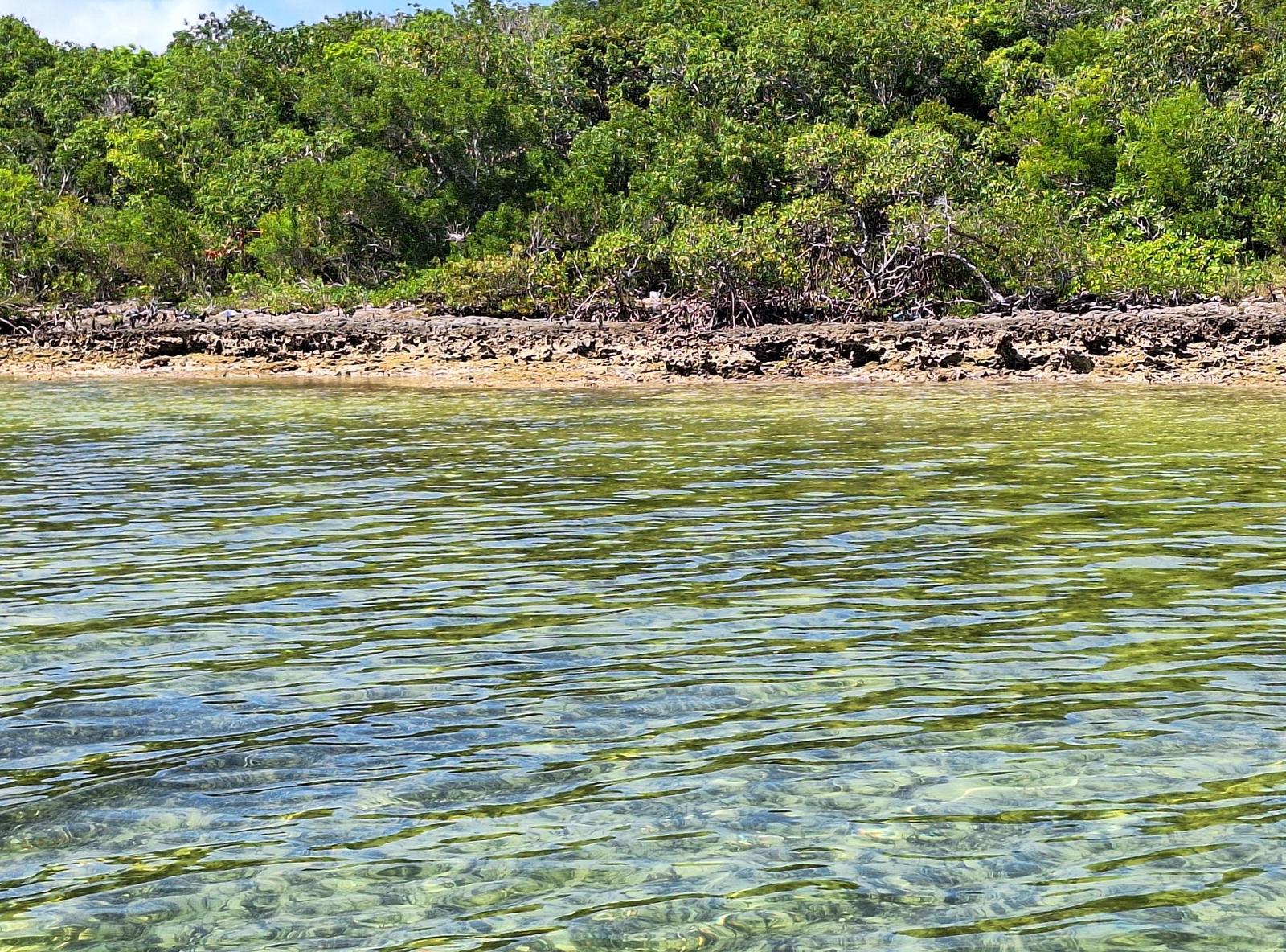 Residence Near Casuarina Point, Abaco Islands — photo 5