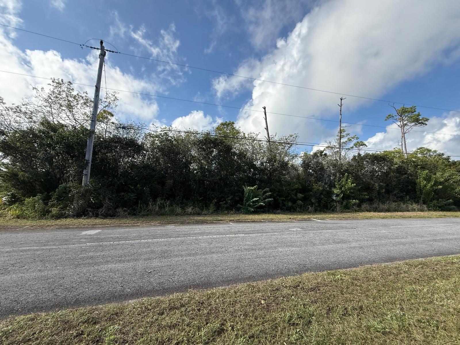 SEED PEARL LANE — photo 2