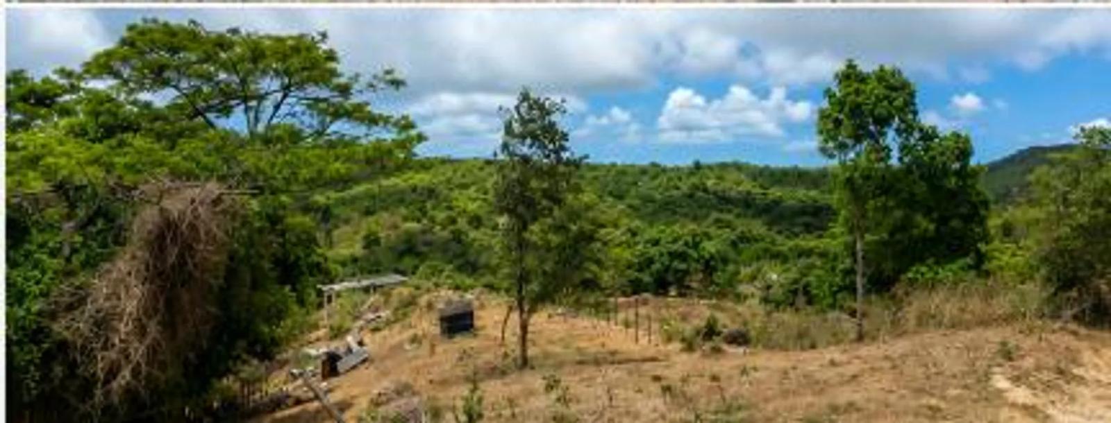 0.46 Acre Homesite Lot in Christiansted — photo 5