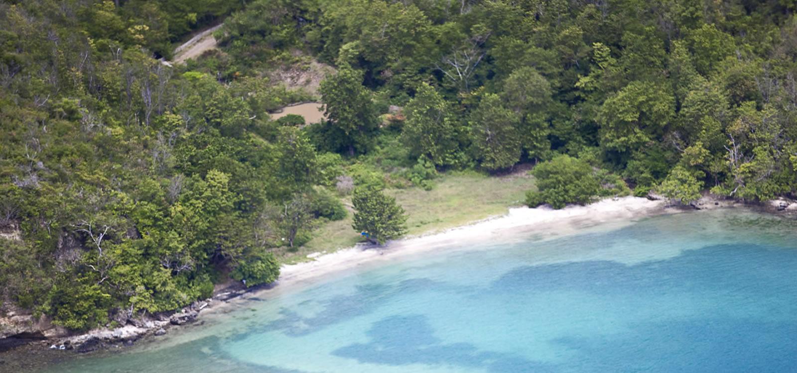 50 Acres Beachfront Land St. David's, Grenada — photo 4