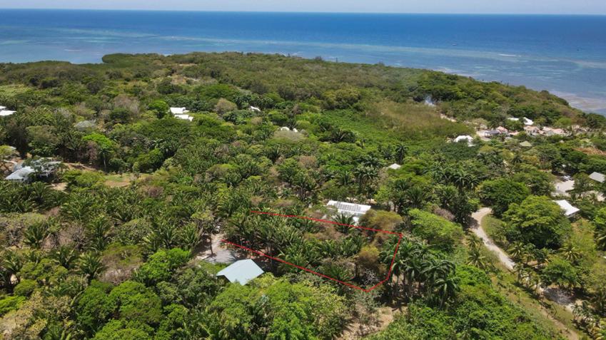 Palmetto Bay 0.68 Acre Lot Near Beach — photo 3