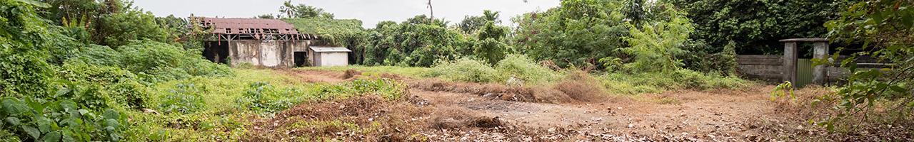 Ready to build 20 – 30 are freehold land with scenic nature views in Cepaka — photo 2