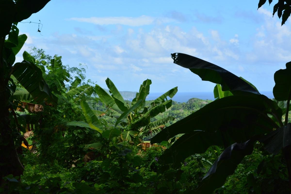 PRIME LAND OPPORTUNITY NEAR PLAYA RINCÓN – SAMANÁ — photo 1