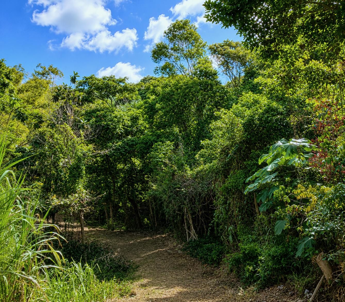 6.22 acres with natural spring — photo 2