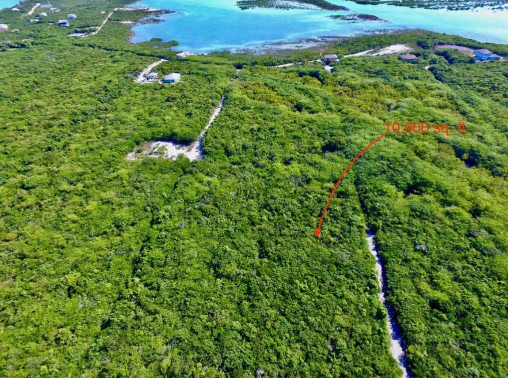Bahama Sound Land Plot — photo 3