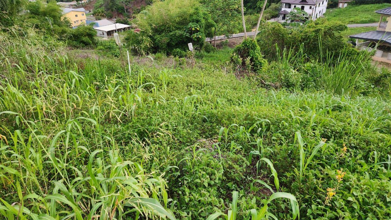 Windsor Heights Arima Land for Sale — photo 2