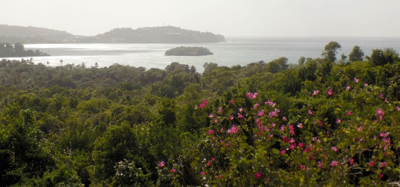 3 Bedroom House for Sale, Choc Estate, St Lucia — photo 2