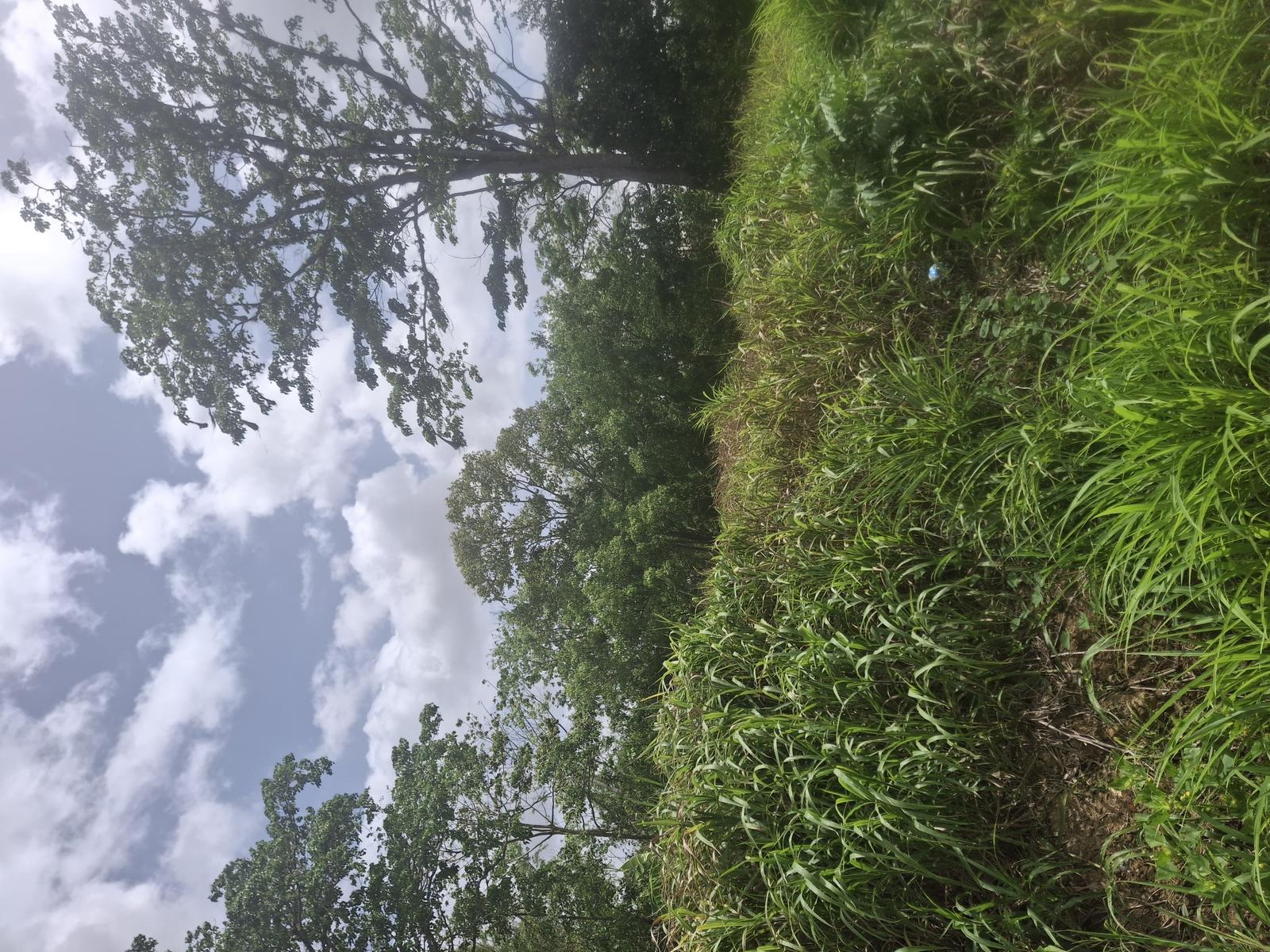 2 lots residential land Gowrie Sankar Trace, off Penal Rock Road — photo 3