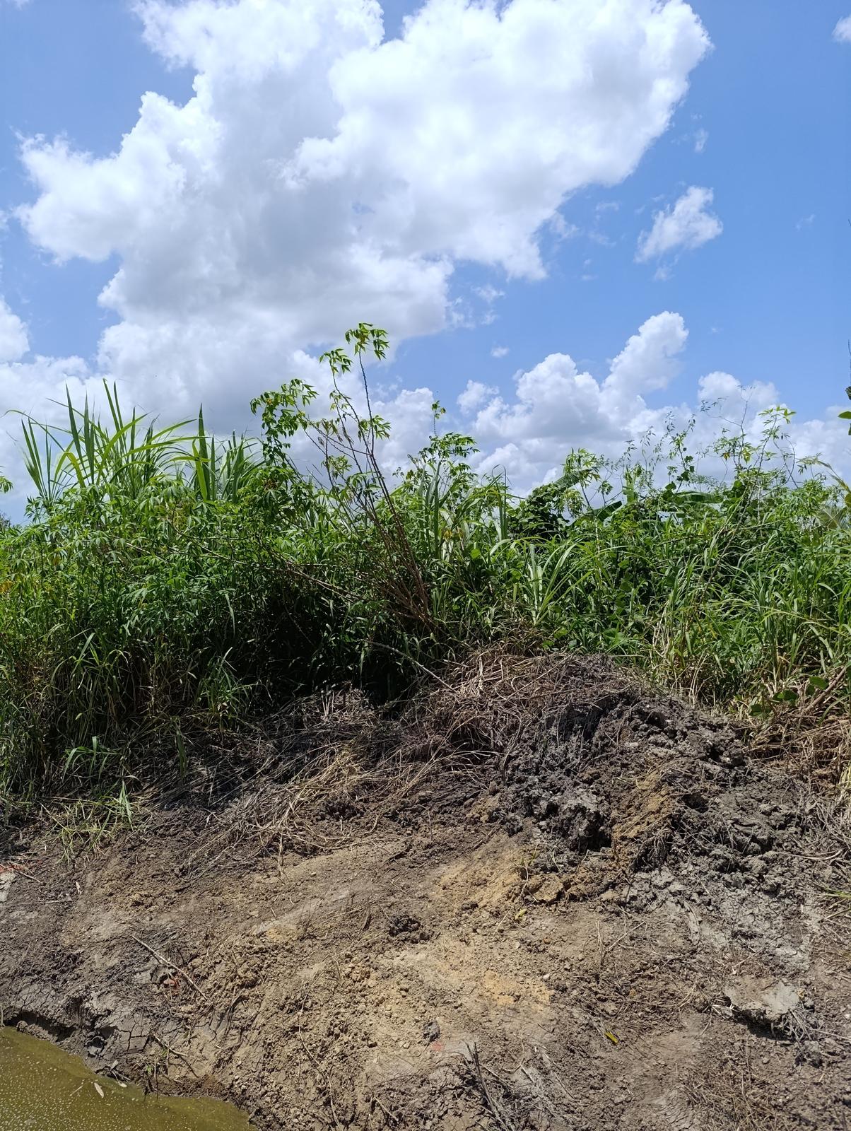 Penal land for sale — photo 1