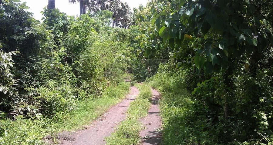 Tulamben Land Beachfront for Lease — photo 4
