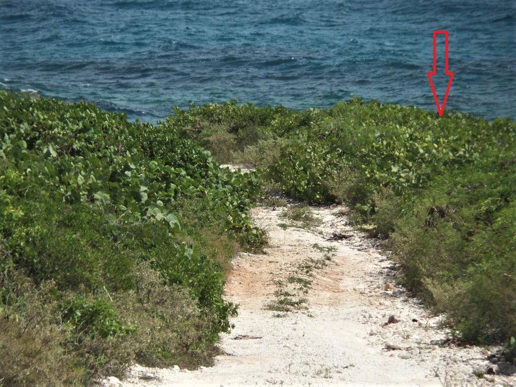 OCEAN FRONT ACREAGE — photo 3