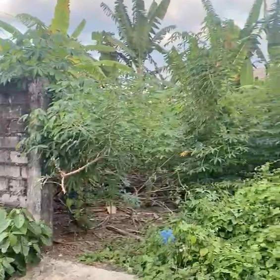 Studio house in Denpasar — photo 1
