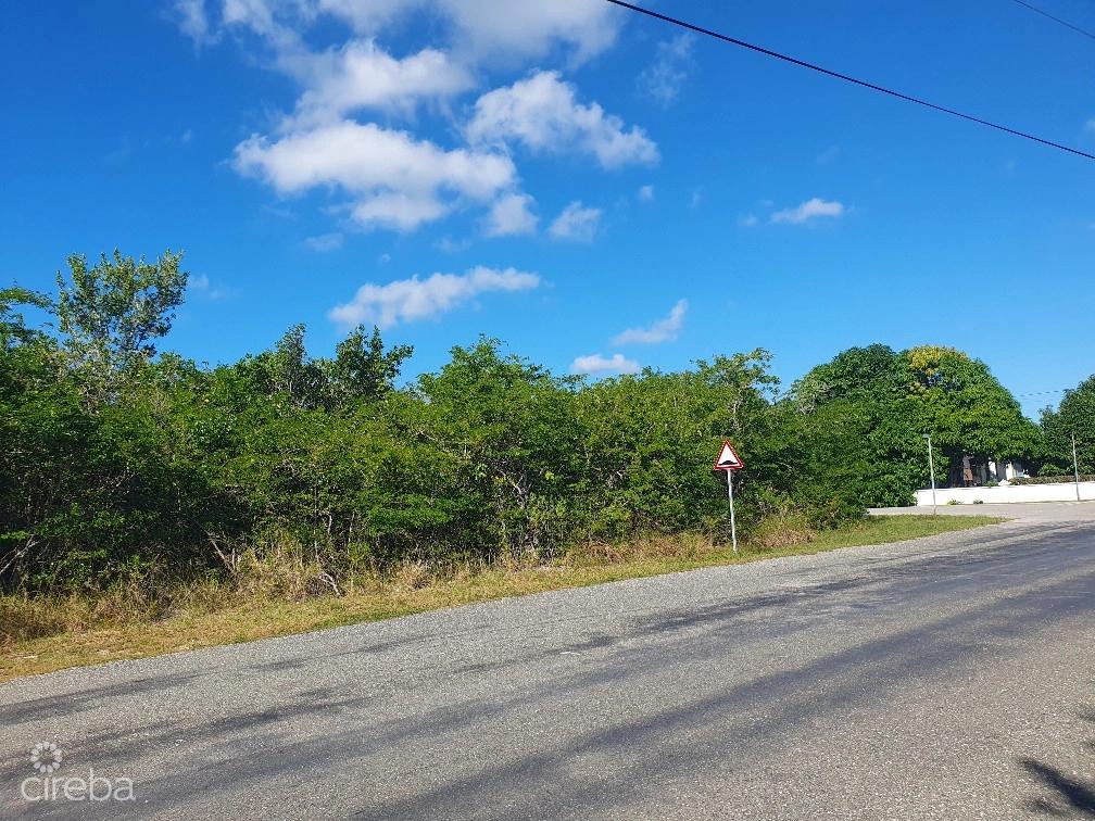 Midland Acres Lot #183 - Cayman Islands — photo 5
