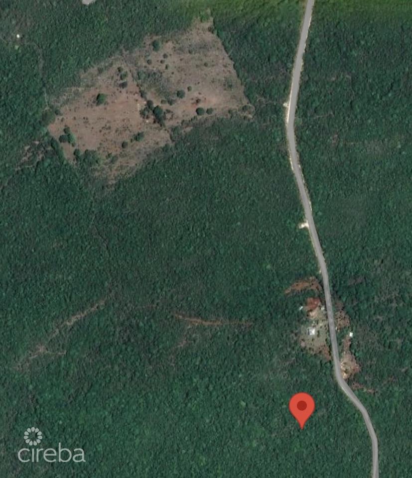 20 Acres Brac Bluff Land — photo 4