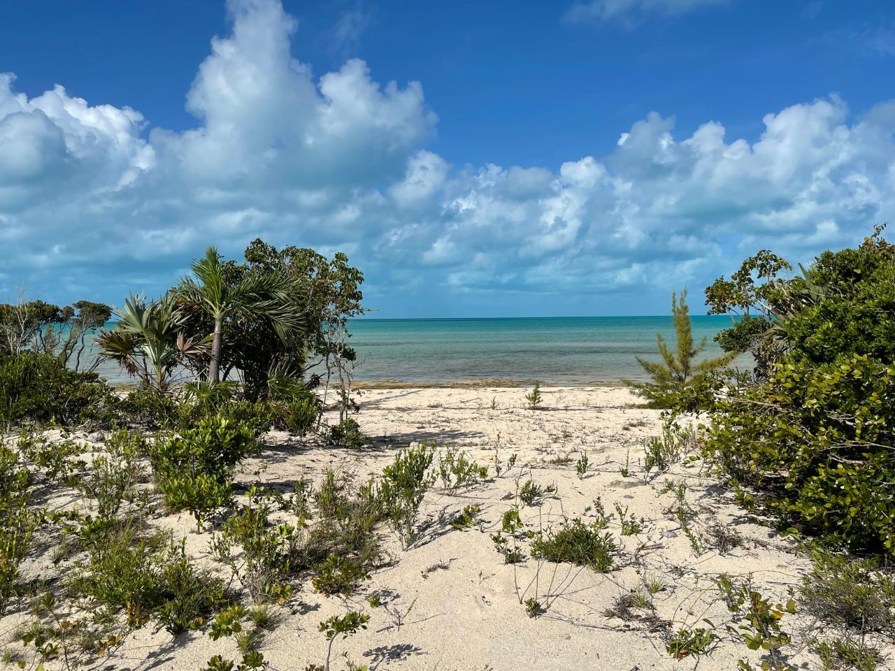 BEACHFRONT WEMYSS LI in Long Island, The Bahamas — photo 5