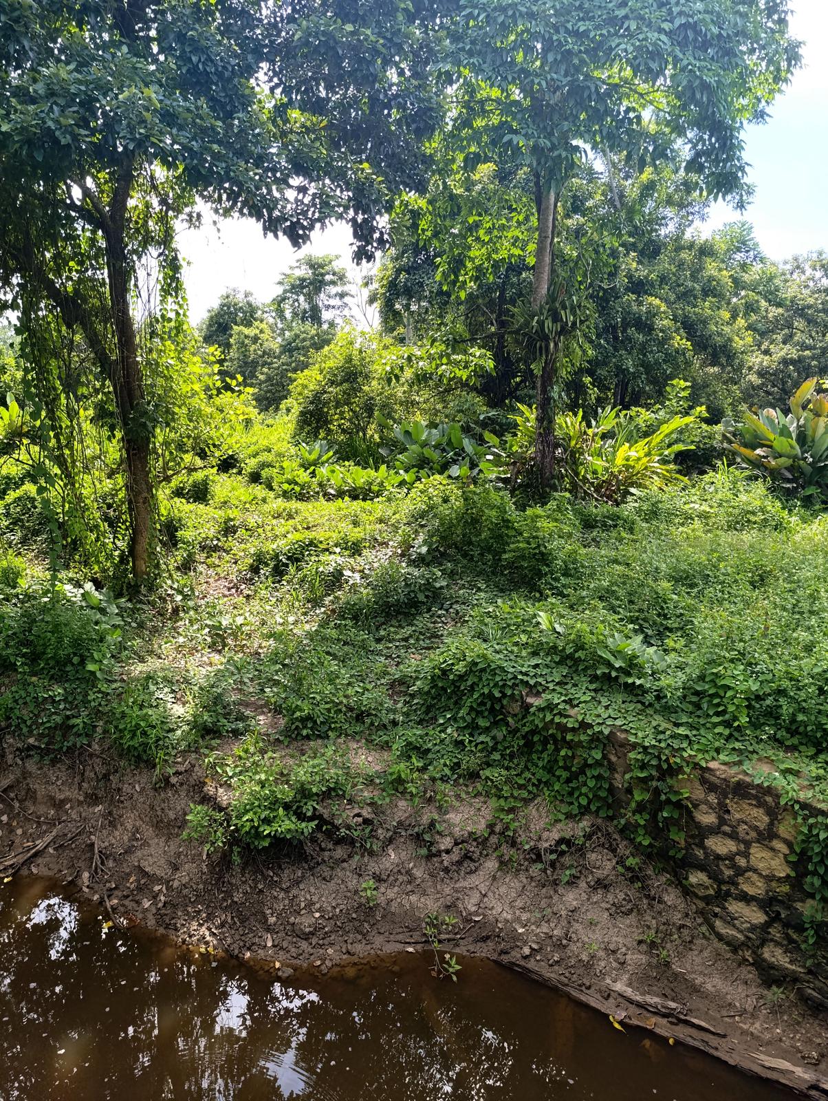 14 acres of raw land in Ecclesville, Rio Claro — photo 2