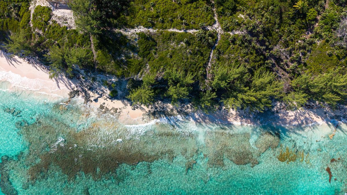 4.35 Acres of Beachfront Land for Sale, North Palmetto Point, Eleuthera, Bahamas — photo 3