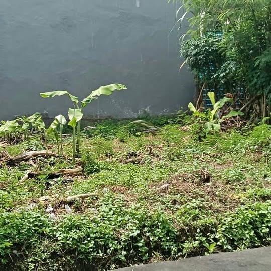 House for sale in Denpasar — photo 1