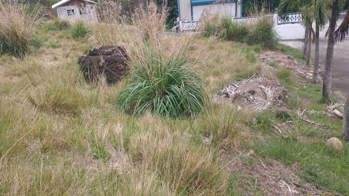 Upper Sion Hill Lot — photo 5