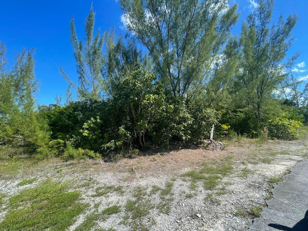Silver Palm St Residence — photo 5