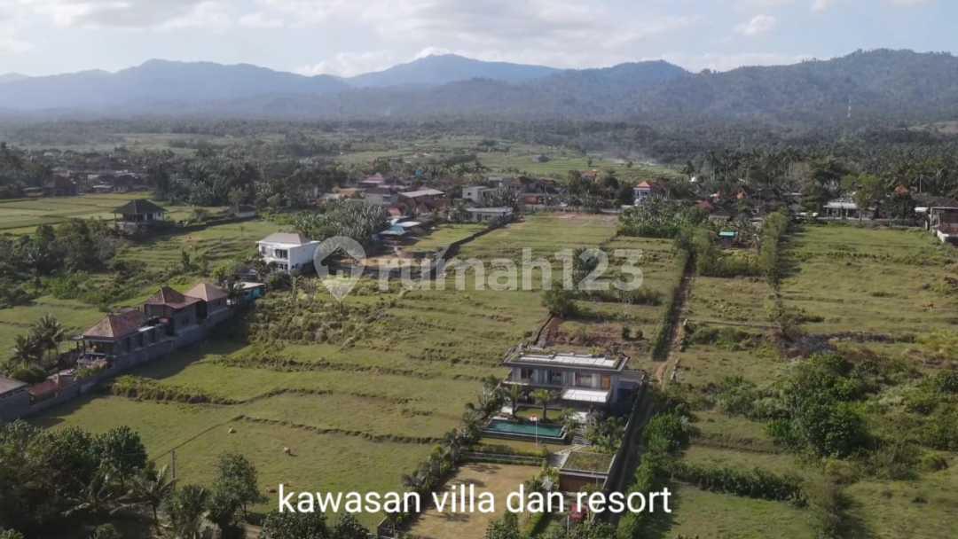 Tanah Los Pantai Medewi Surfing, Kawasan Resort Mewah — photo 3