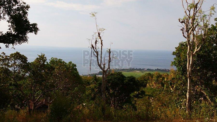 Amazing 49 Are Freehold Land with WOW View in Lovina — photo 1