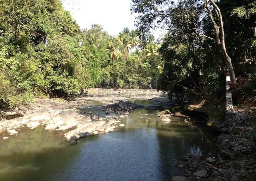Exclusive Piece of Freehold Land for Sale – Nyanyi Beach — photo 5