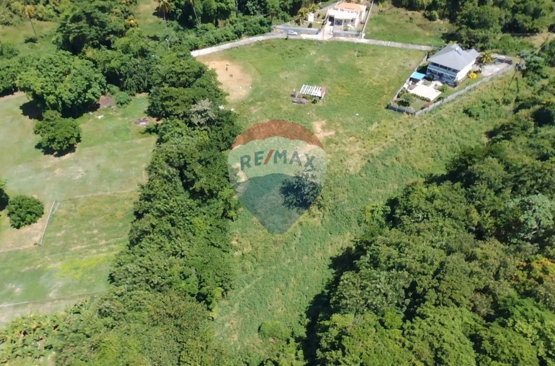 PROSPECT LOT #13 — photo 3