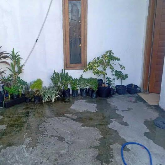 House in Denpasar — photo 1
