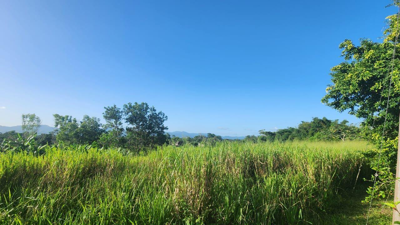 Scenic Residential Land for Sale Las Lomas — photo 5