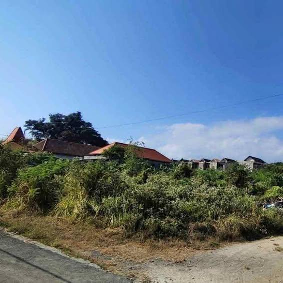 Studio house in Denpasar — photo 1