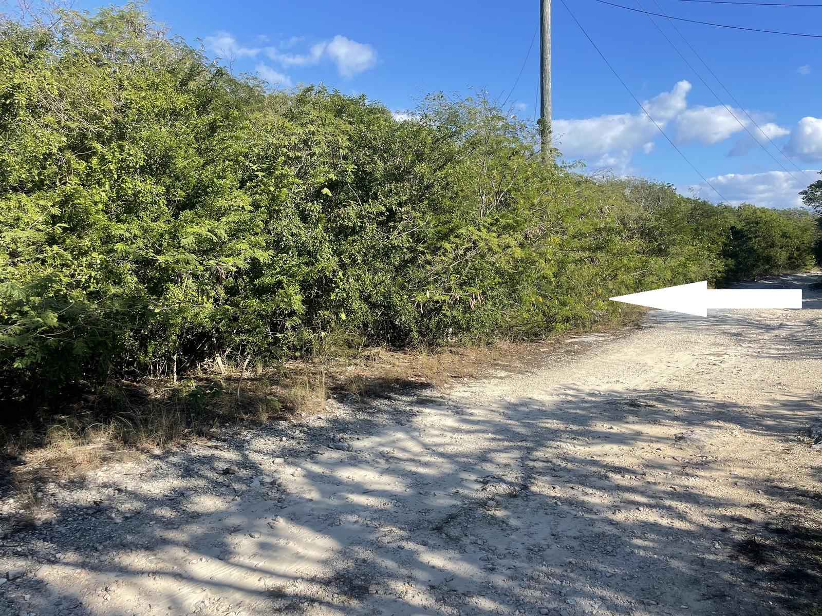 Lot 149, Schooner Road, Flamingo Bay - MLS 65869 — photo 2