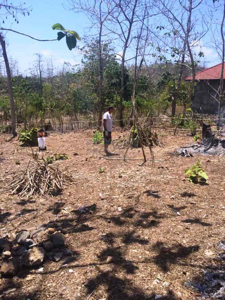 Freehold Land Near Asian International School in Jimbaran — photo 3