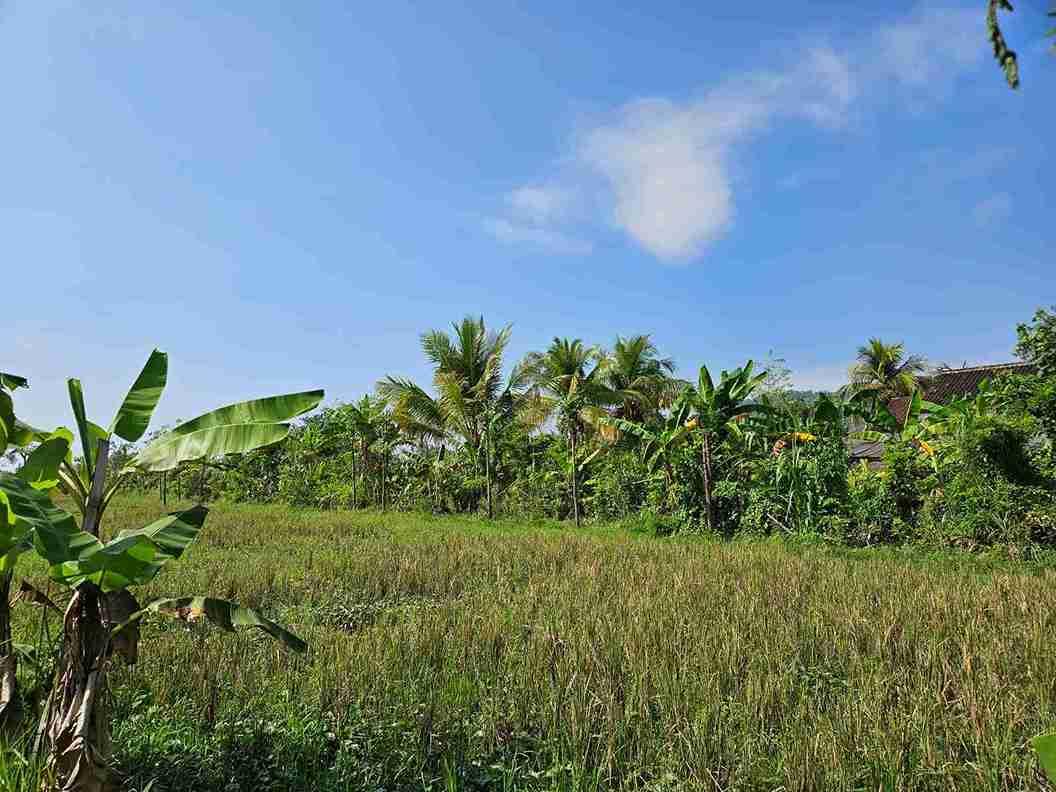 Prime Investment Land for Sale or Lease in Karangasem, Bali — photo 5