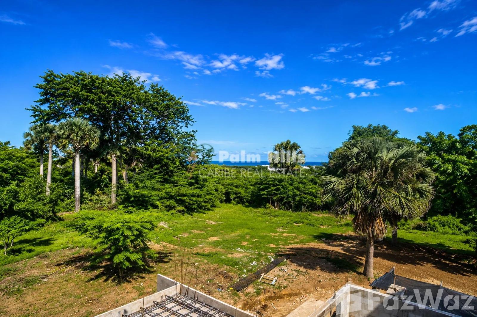 Farm for Sale in Sosua, Puerto Plata — photo 5