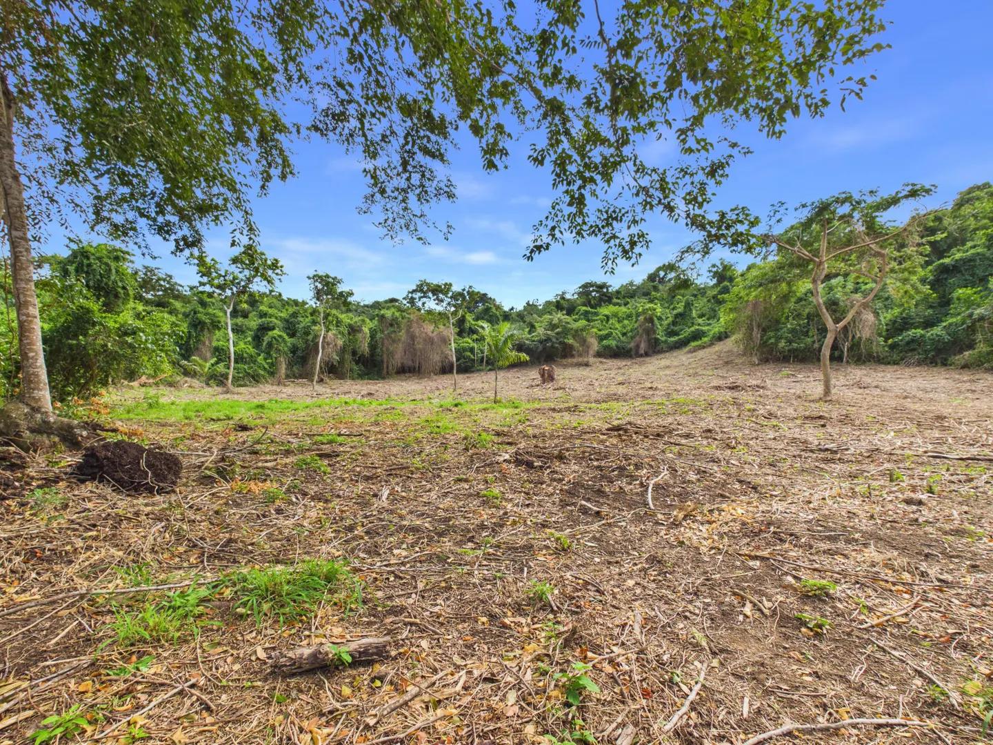 2.06 Acre Lot in St. Croix Rain Forest — photo 3
