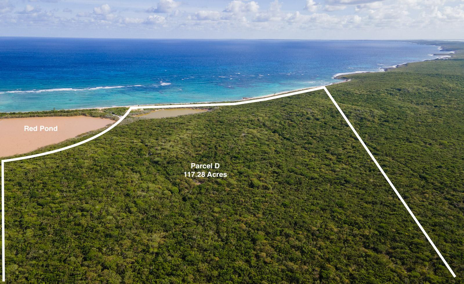 250 Acre Tract, Grays Settlement — photo 5