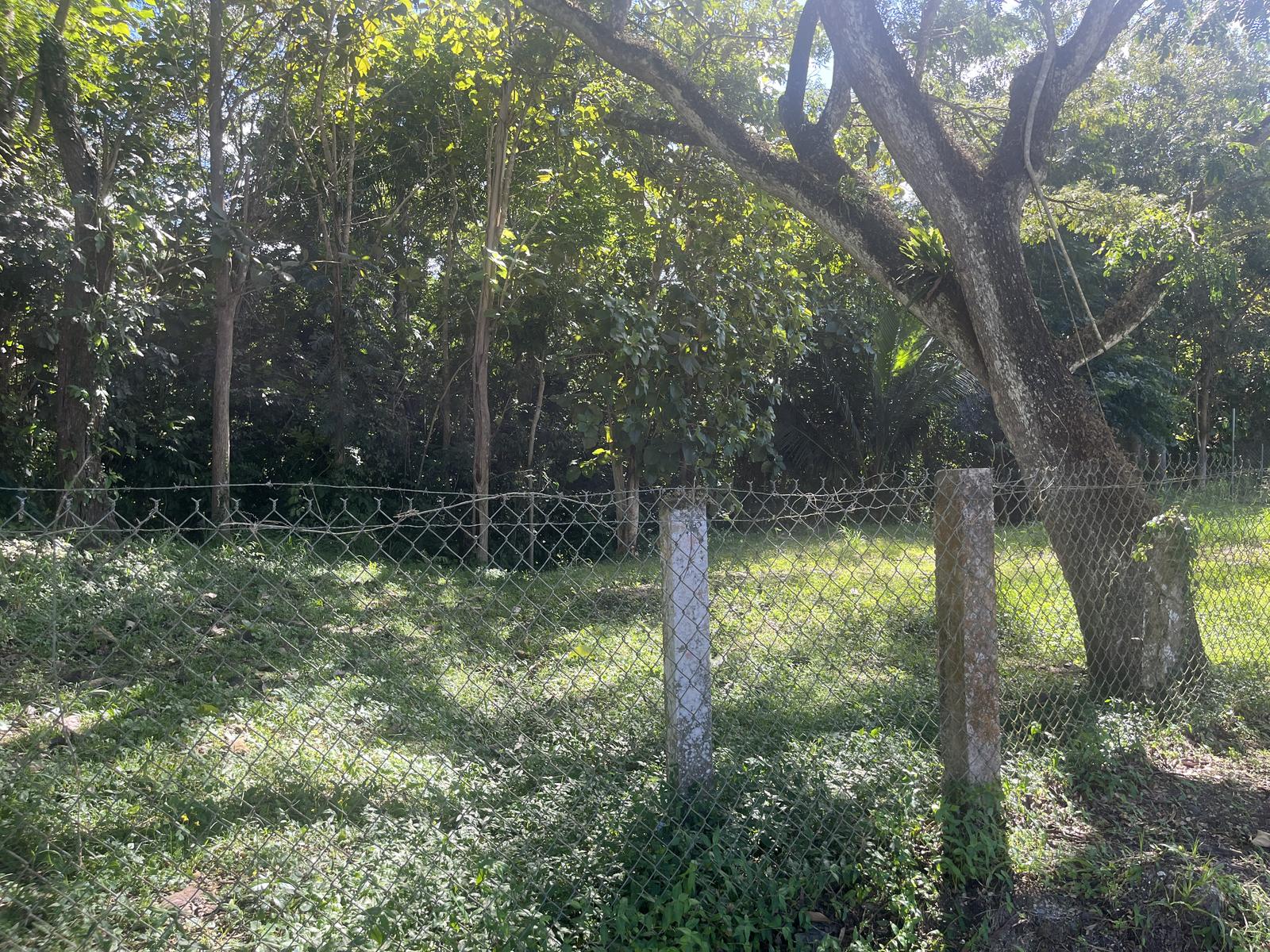 Unique Opportunity! 15 Cuerdas Across from Hacienda Muñoz – PR-181 — photo 2