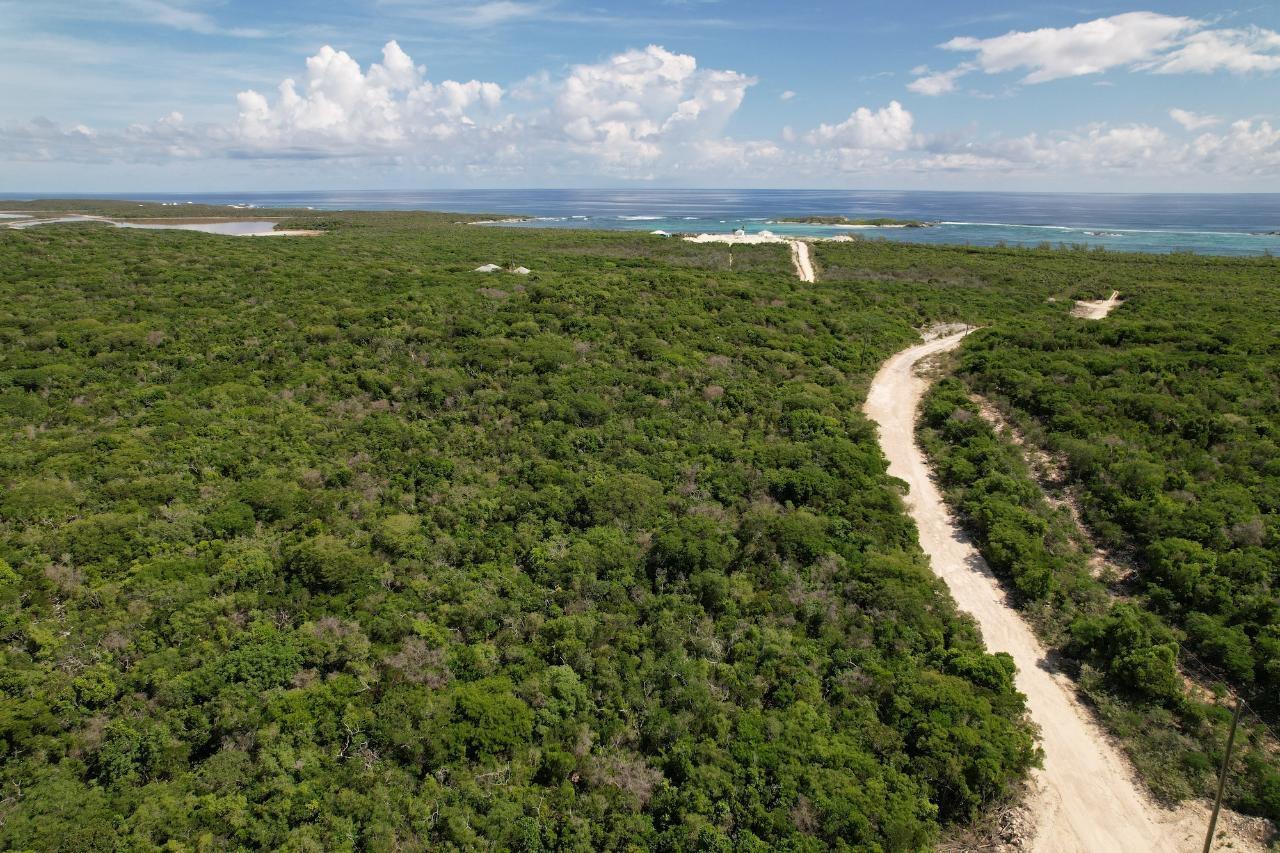 23 ACRE OCEANVIEW PARCEL — photo 4