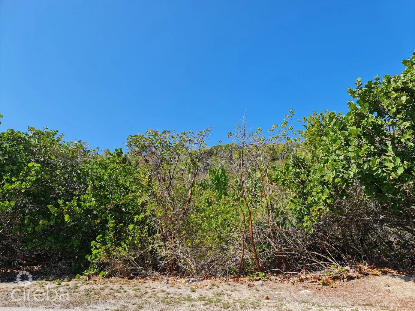 Oceanfront Vacant Land in Cayman Islands — photo 3