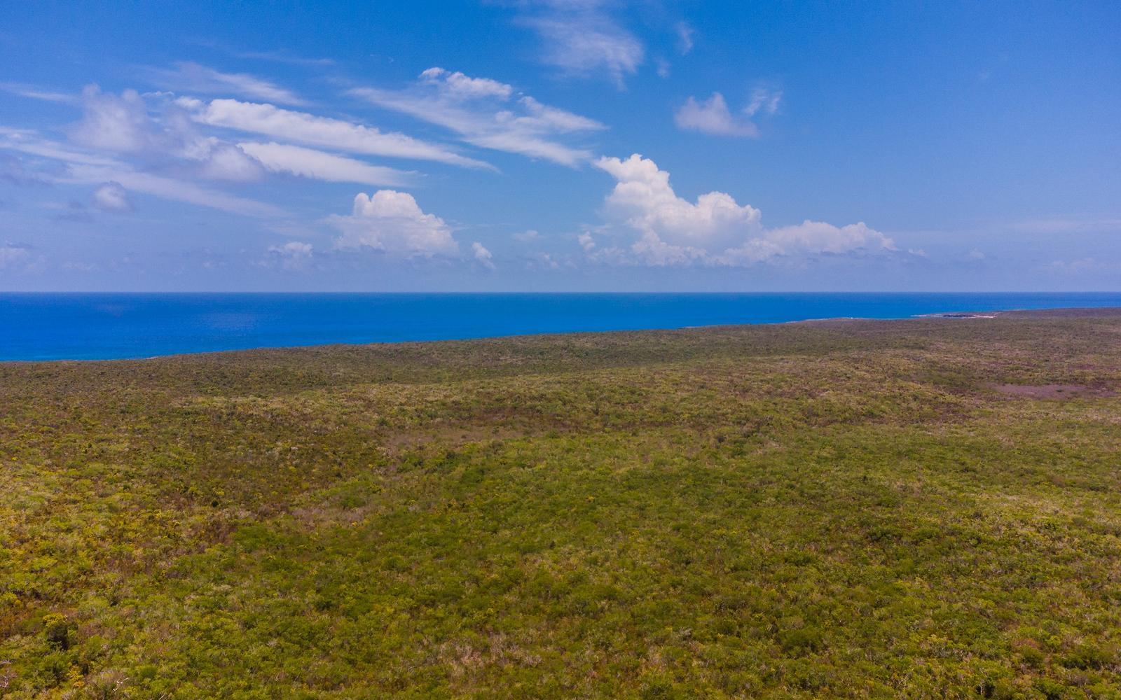 68 Acres of Land for Sale, Gordons, Long Island, Bahamas — photo 5