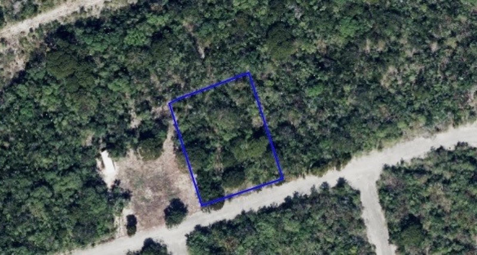 Turtle Estates Inland Parcel 0.2766 — photo 3