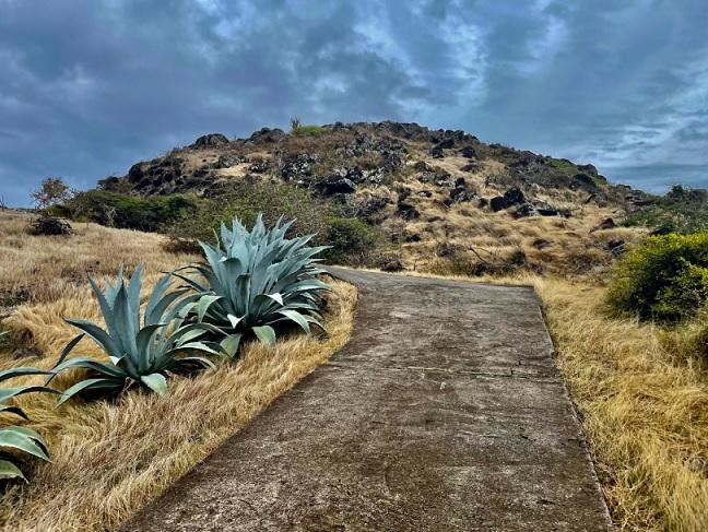 Sint Eustatius Oceanview 1.6 Acre Lot — photo 5