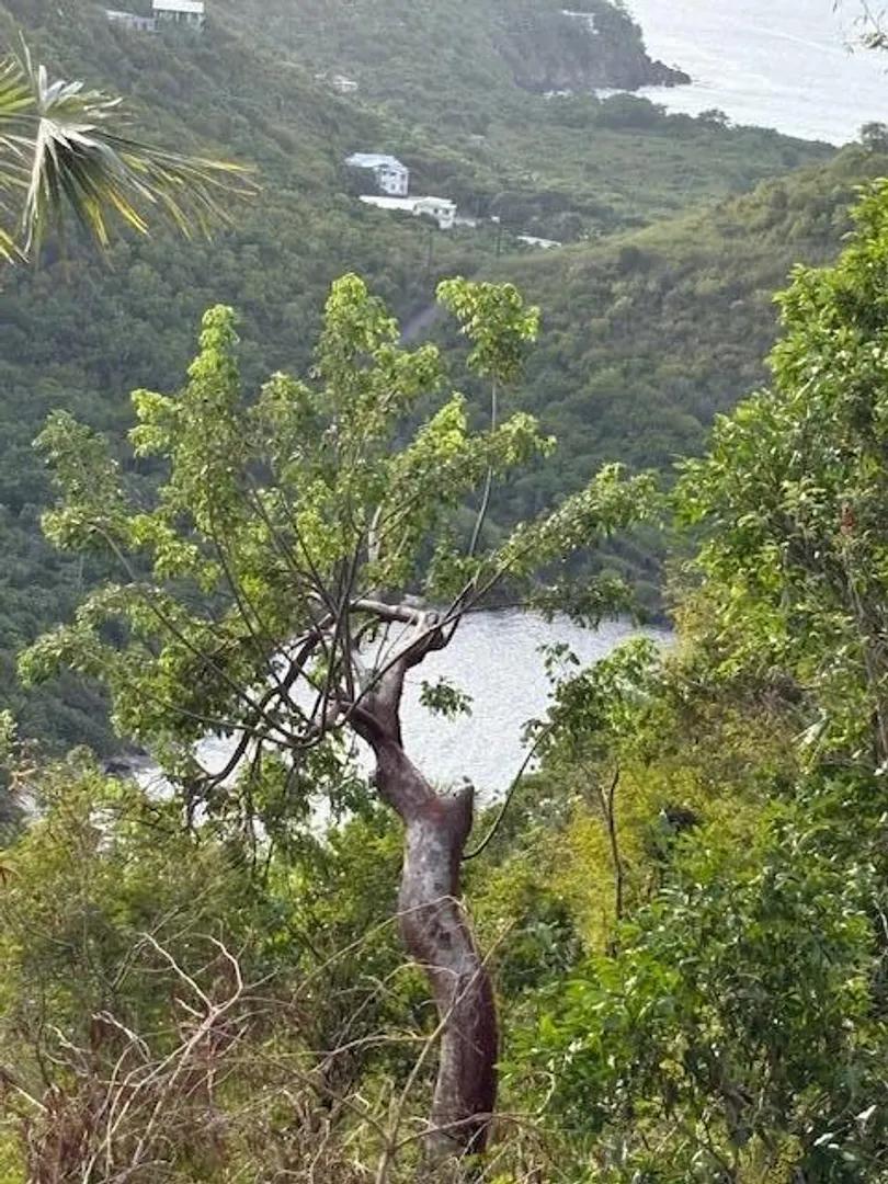 1.08 Acre Homesite Lot, Quarter East End — photo 4